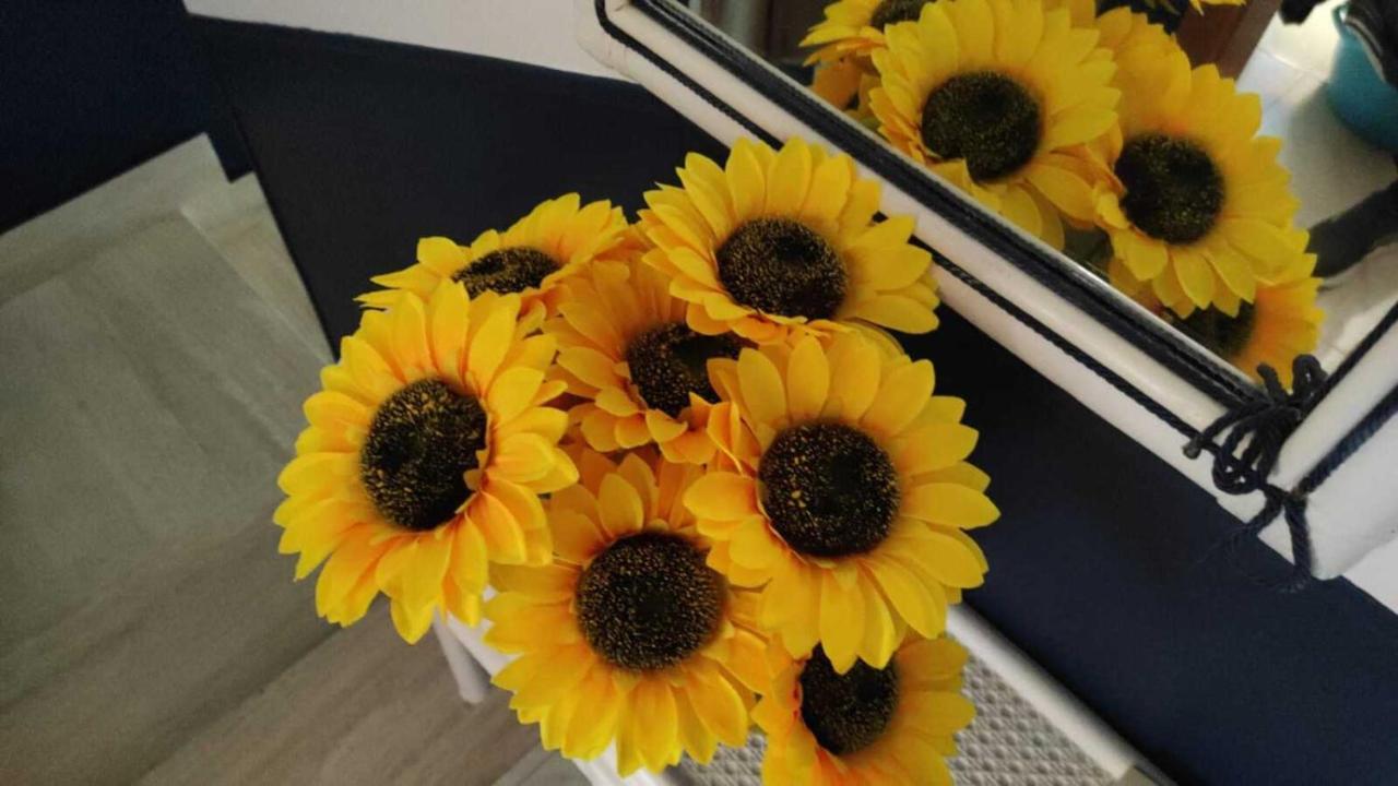Il Girasole, Distante Solo 200 Mt. Reali Dal Mare Apartman Lido Marini Kültér fotó